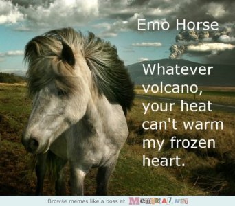 emo horse.jpg