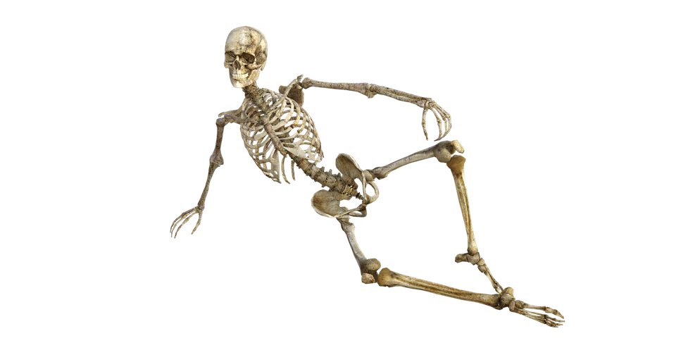 skeleton-1561177_960_720.png